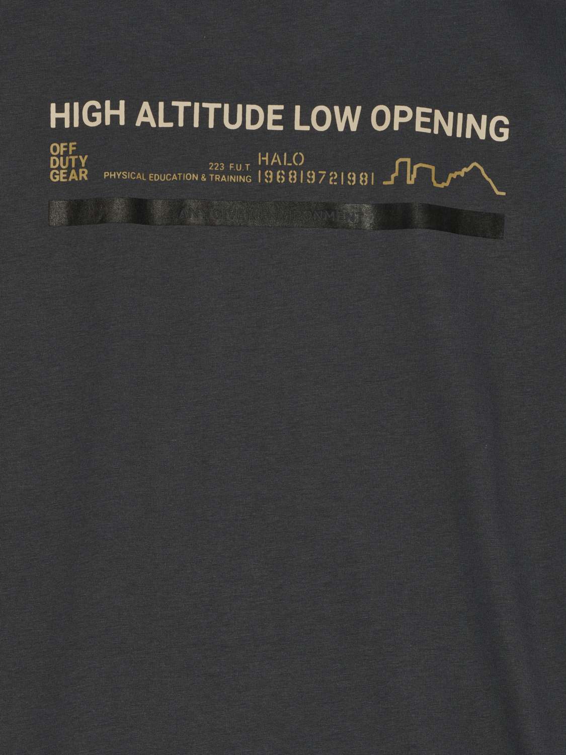 HALO GRAPHIC T-SHIRT, ASPHALT/ASPHALT, packshot