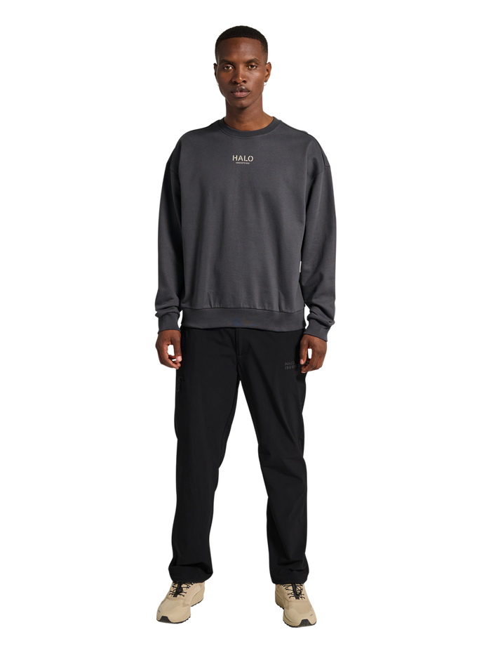 HALO GRAPHIC BOXY CREW, ASPHALT, model