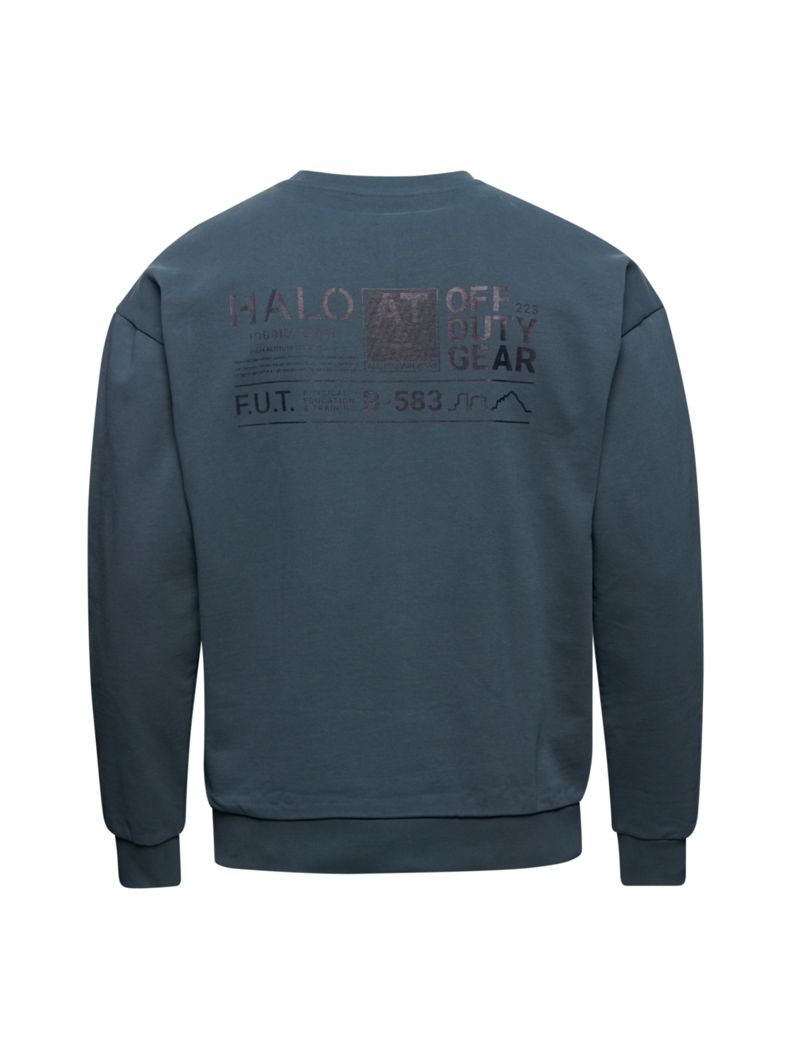 HALO GRAPHIC CREW 01, DARK SLATE, packshot