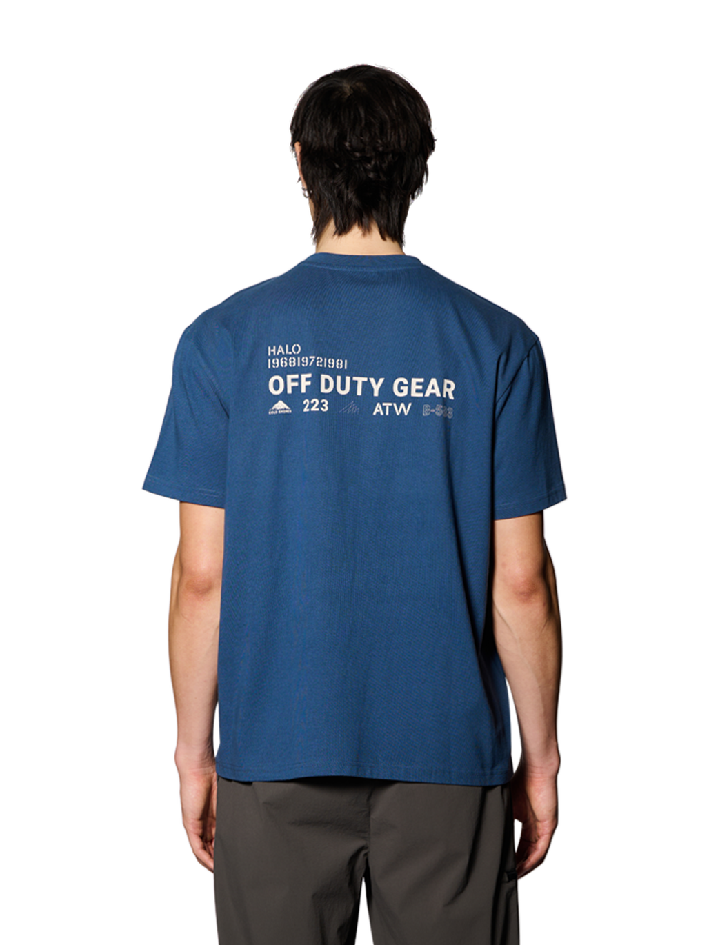 HALO COLD SHORE T-SHIRT, SARGASSO SEA, model