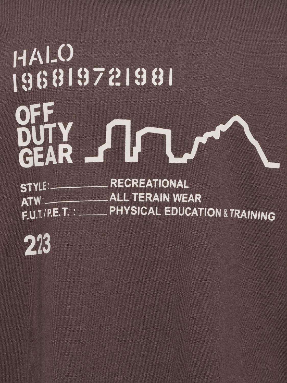 HALO GRAPHIC T-SHIRT BOXY 02, BRACKEN, packshot