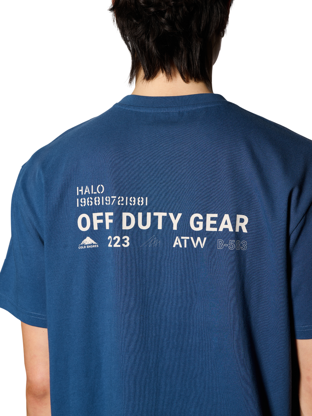 HALO COLD SHORE T-SHIRT, SARGASSO SEA, model