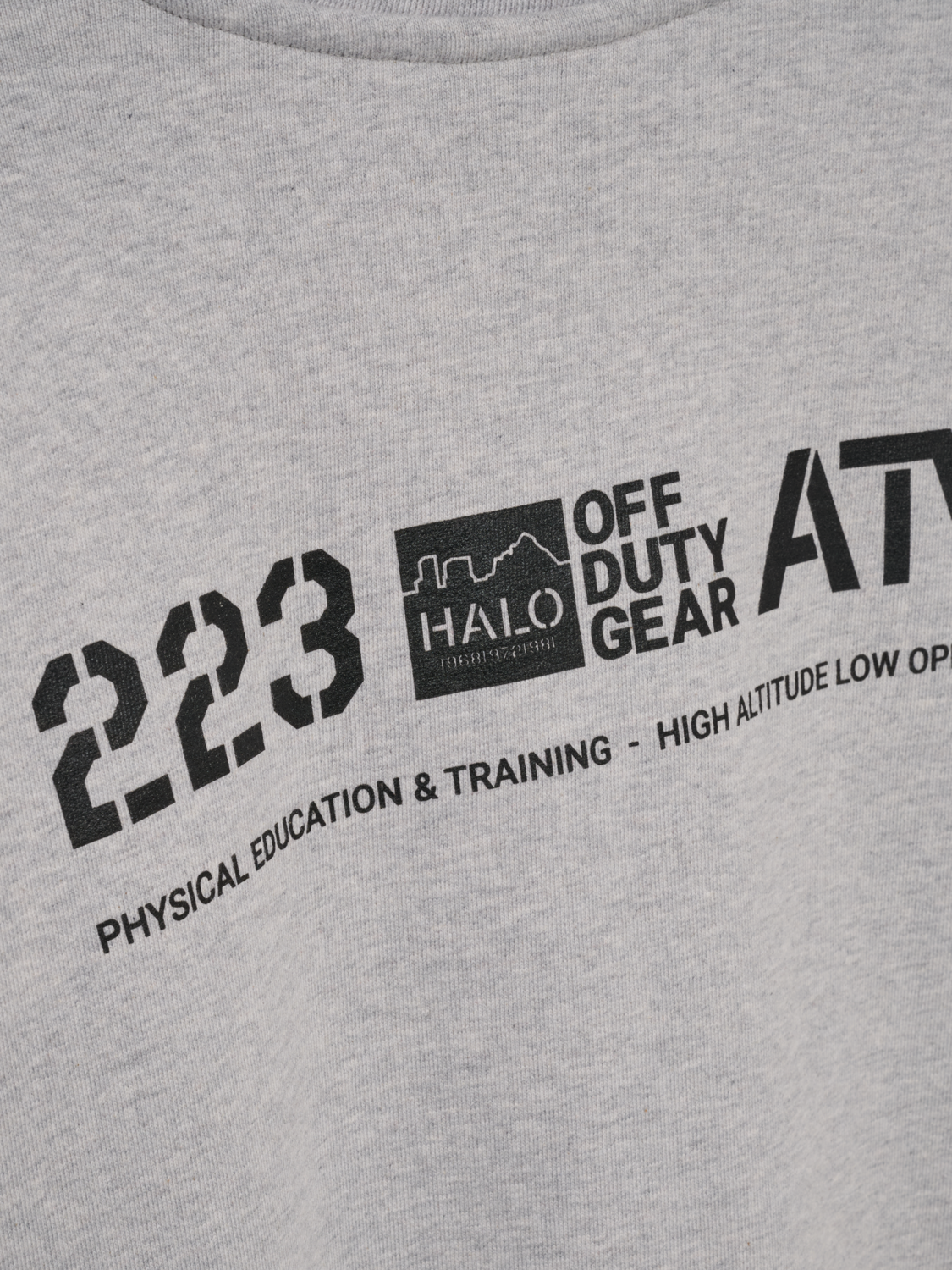 HALO GRAPHIC BOXY CREW, LIGHT GREY MELANGE, packshot