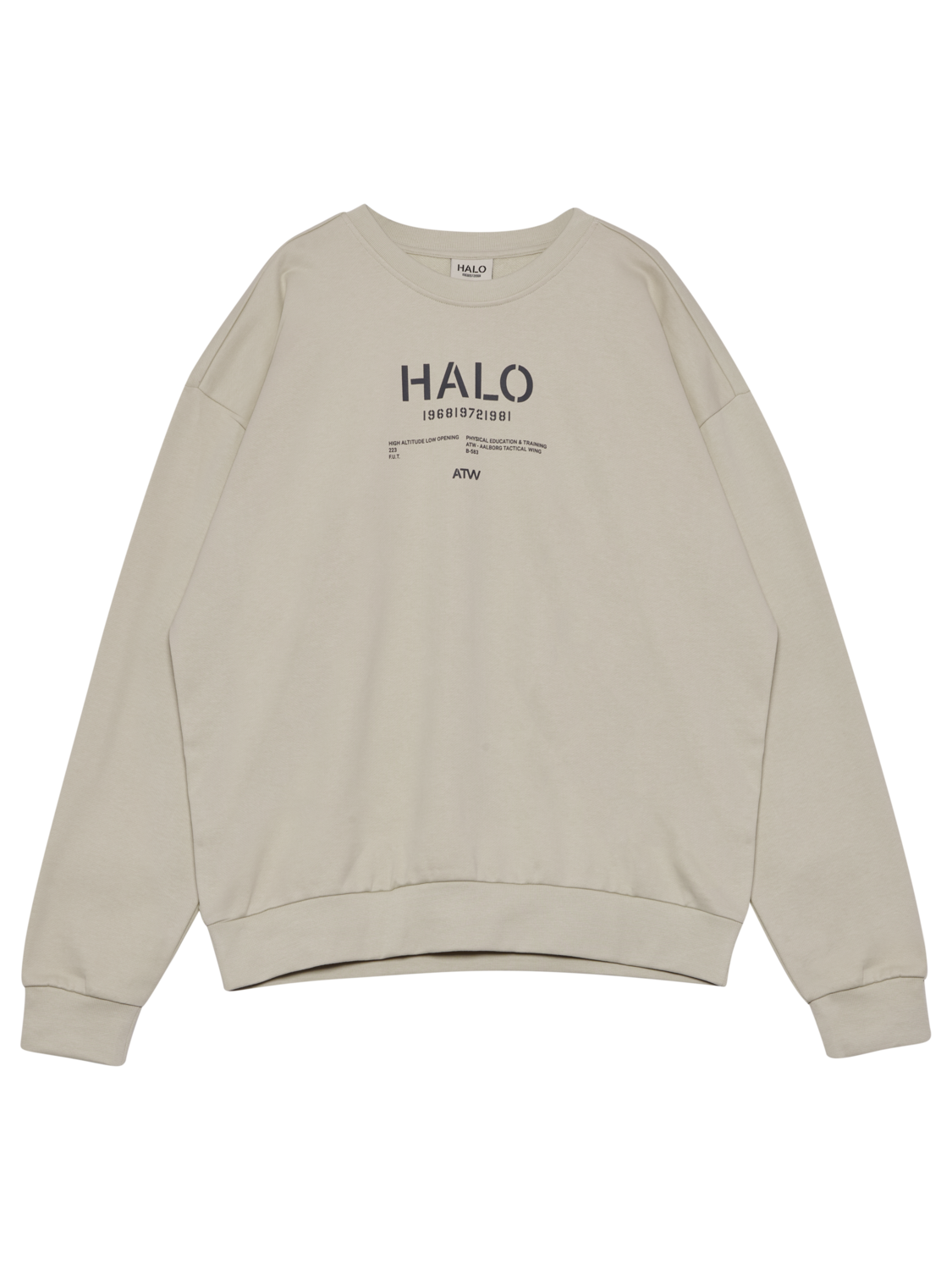 HALO GRAPHIC BOXY CREW, OYSTER GRAY, packshot