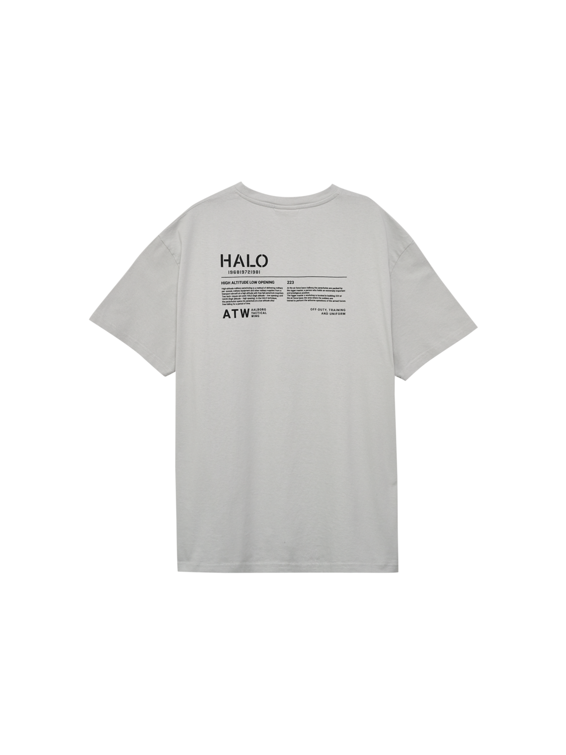 HALO HEAVY GRAPHIC T-SHIRT 223, 2399, packshot