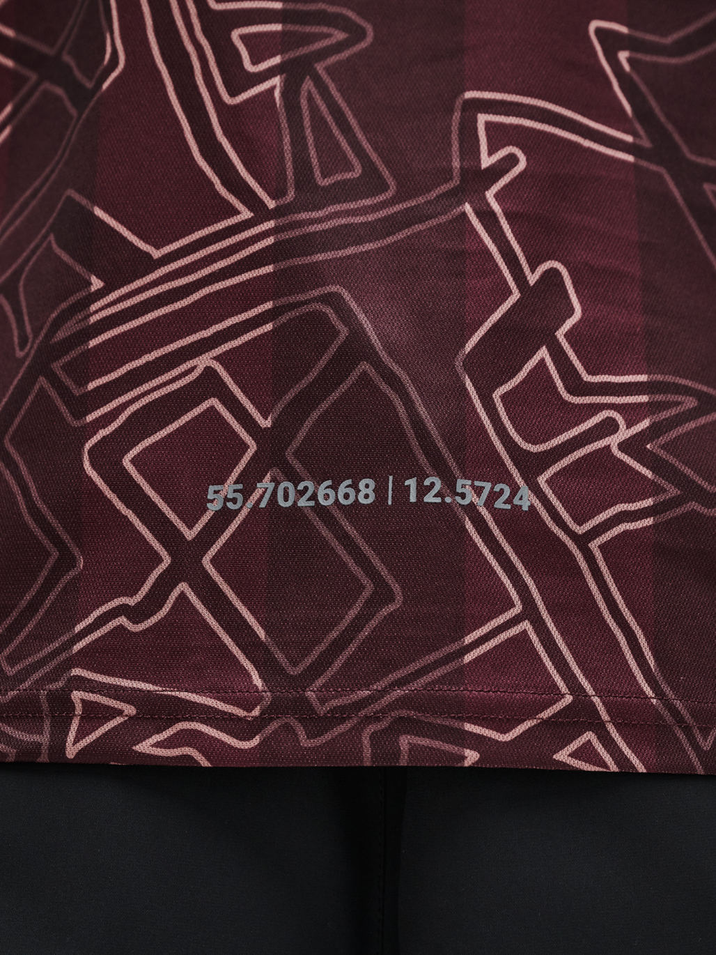 DBU-HALO 24 JERSEY L/S, PORT ROYALE, model