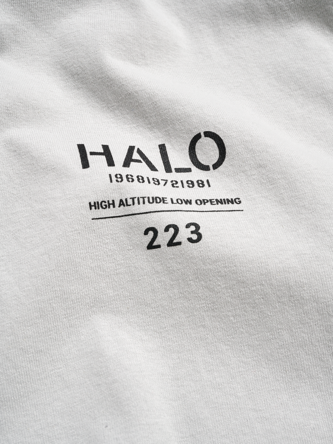 HALO HEAVY GRAPHIC T-SHIRT 223, 2399, packshot
