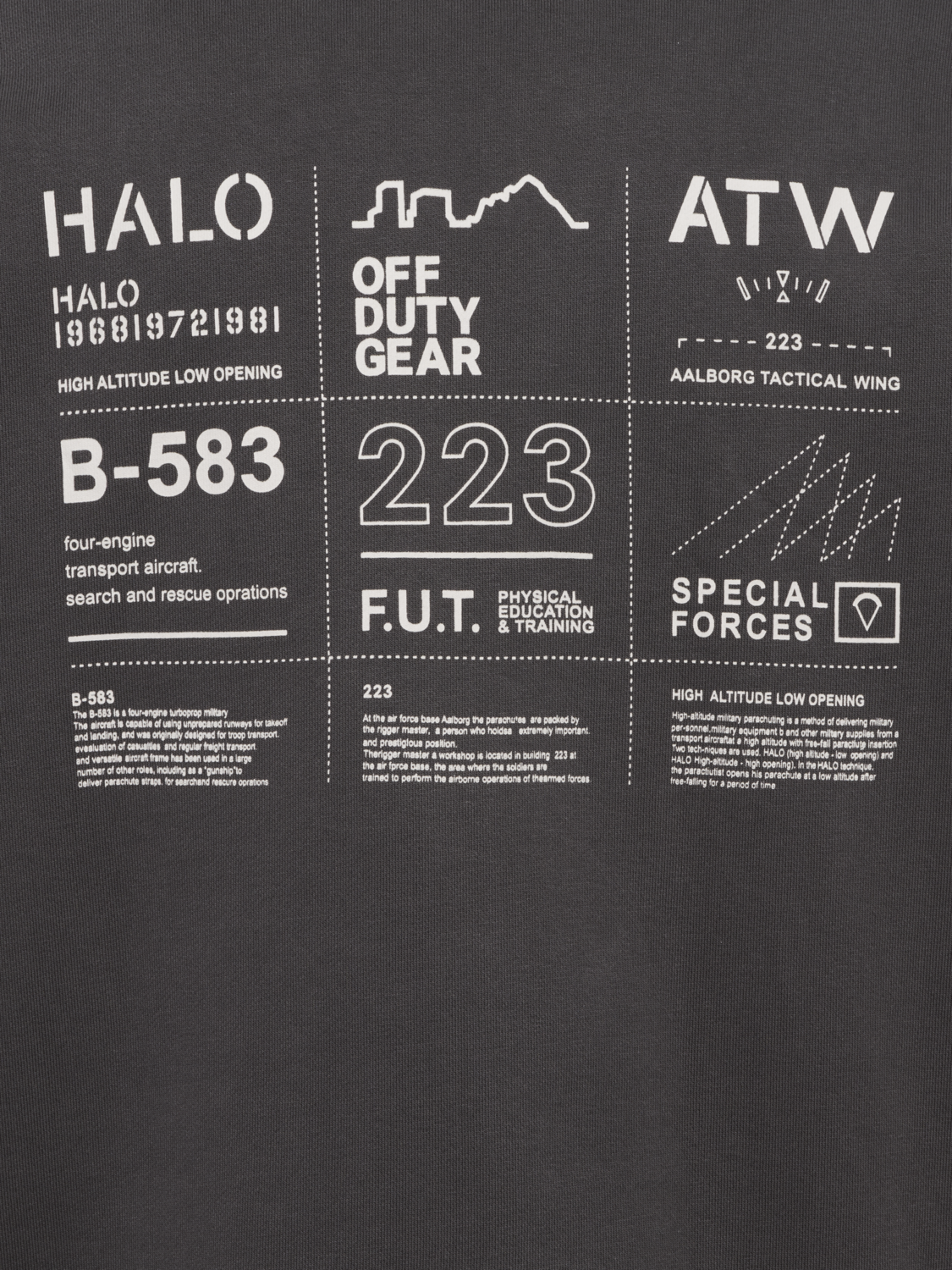 HALO GRAPHIC HOODIE, RAVEN, packshot
