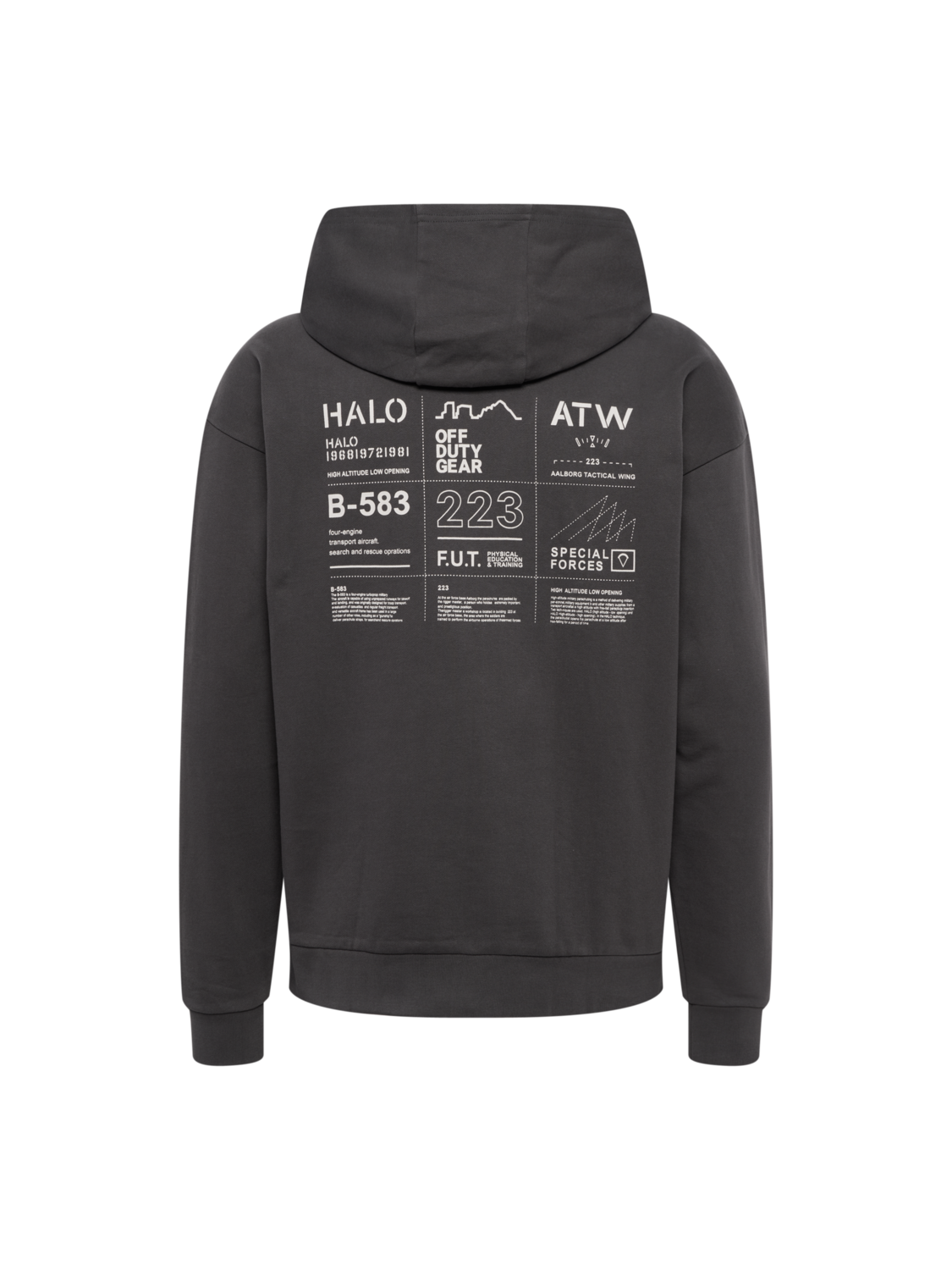 HALO GRAPHIC HOODIE, RAVEN, packshot