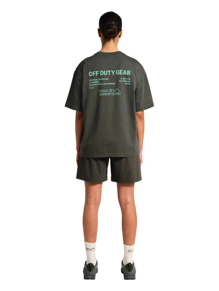 HALO GRAPHIC BOXY T-SHIRT, GUNMETAL/SPRING BOUQUET, model