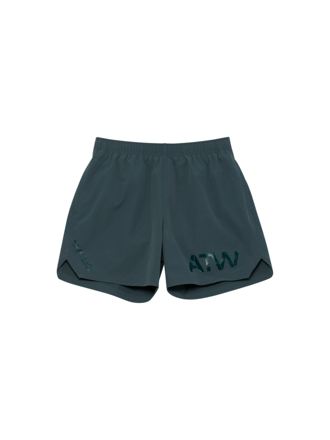 HALO SHORTS, DARK SLATE/BOTANICAL GARDEN, packshot