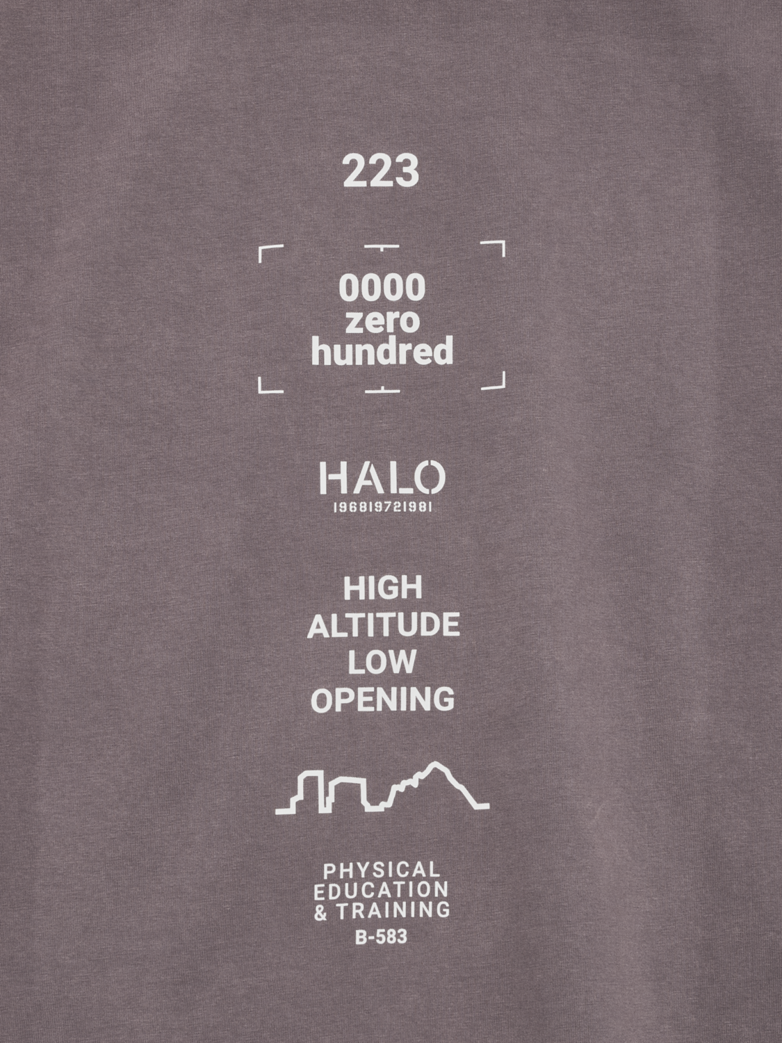 HALO GRAPHIC T-SHIRT, SPARROW, packshot