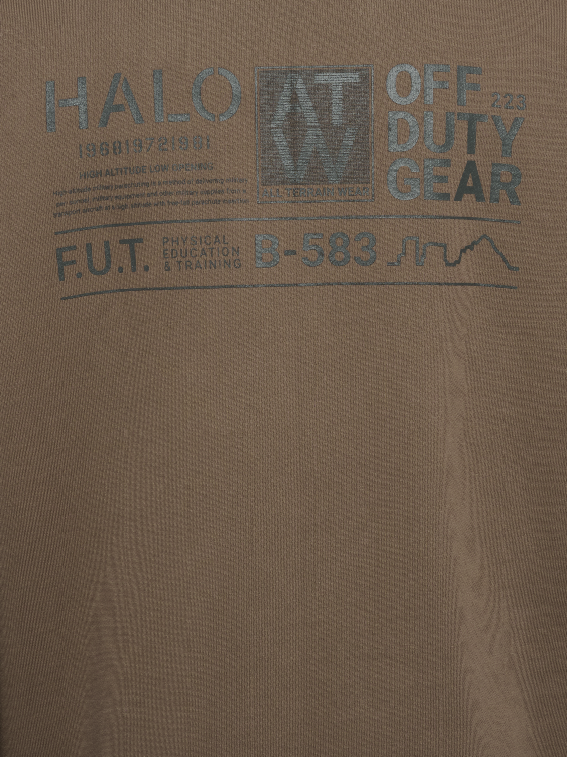 HALO GRAPHIC CREW 01, CHOCOLATE CHIP, packshot