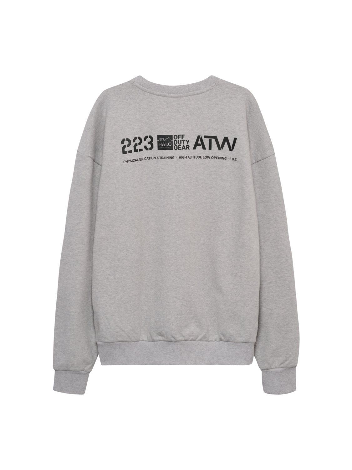 HALO GRAPHIC BOXY CREW, LIGHT GREY MELANGE, packshot