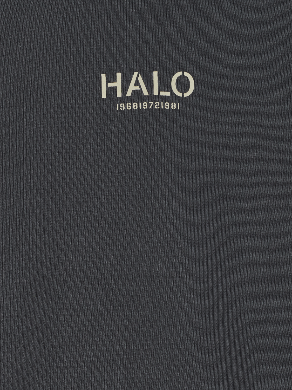 HALO GRAPHIC BOXY CREW, ASPHALT, packshot