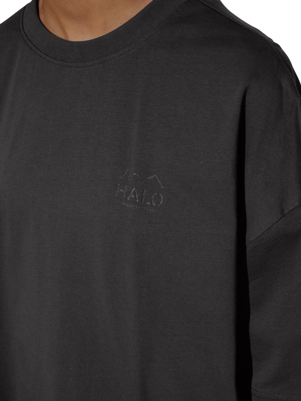 HALO GRAPHIC BOXY T-SHIRT, RAVEN, model