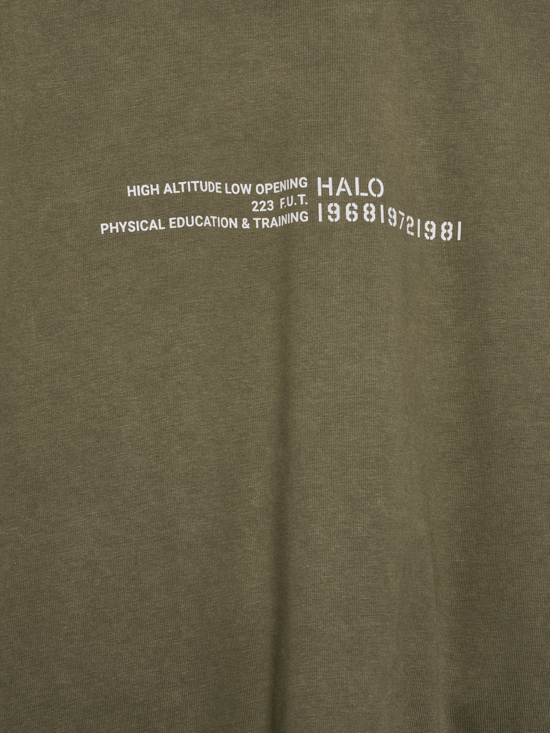 HALO GRAPHIC BOXY T-SHIRT, CAPERS/MARSHMALLOW, packshot