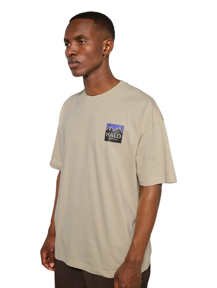 HALO GRAPHIC BOXY T-SHIRT, OYSTER GRAY/OYSTER GRAY, model