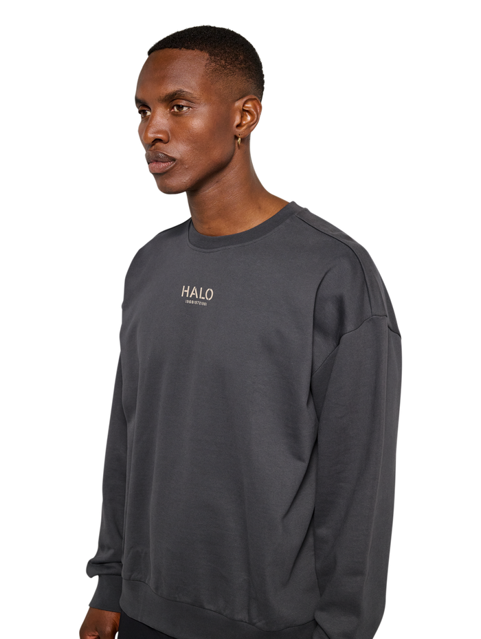HALO GRAPHIC BOXY CREW, ASPHALT, model