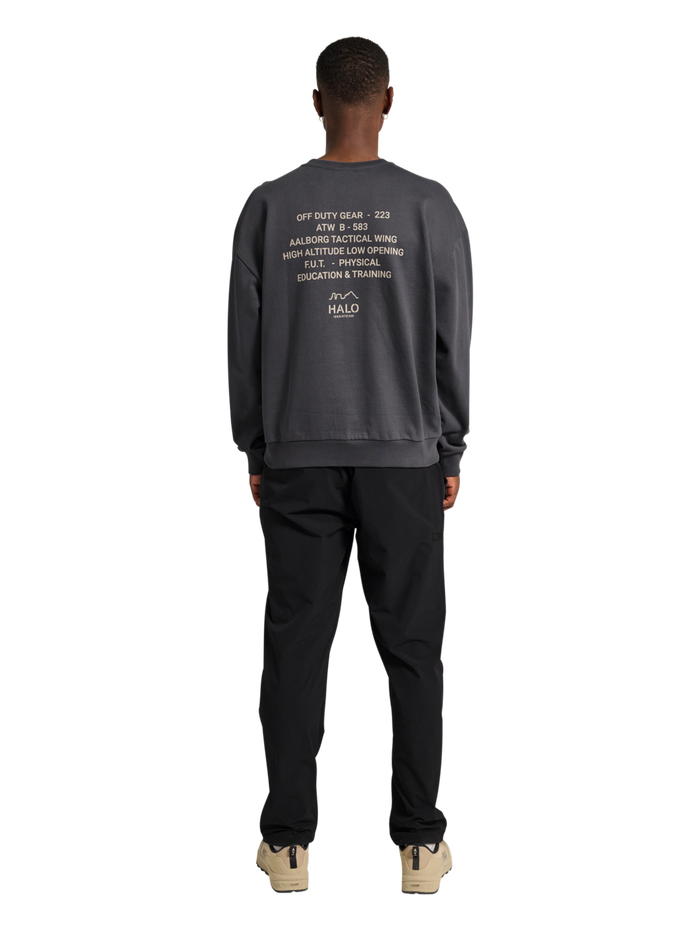 HALO GRAPHIC BOXY CREW, ASPHALT, model