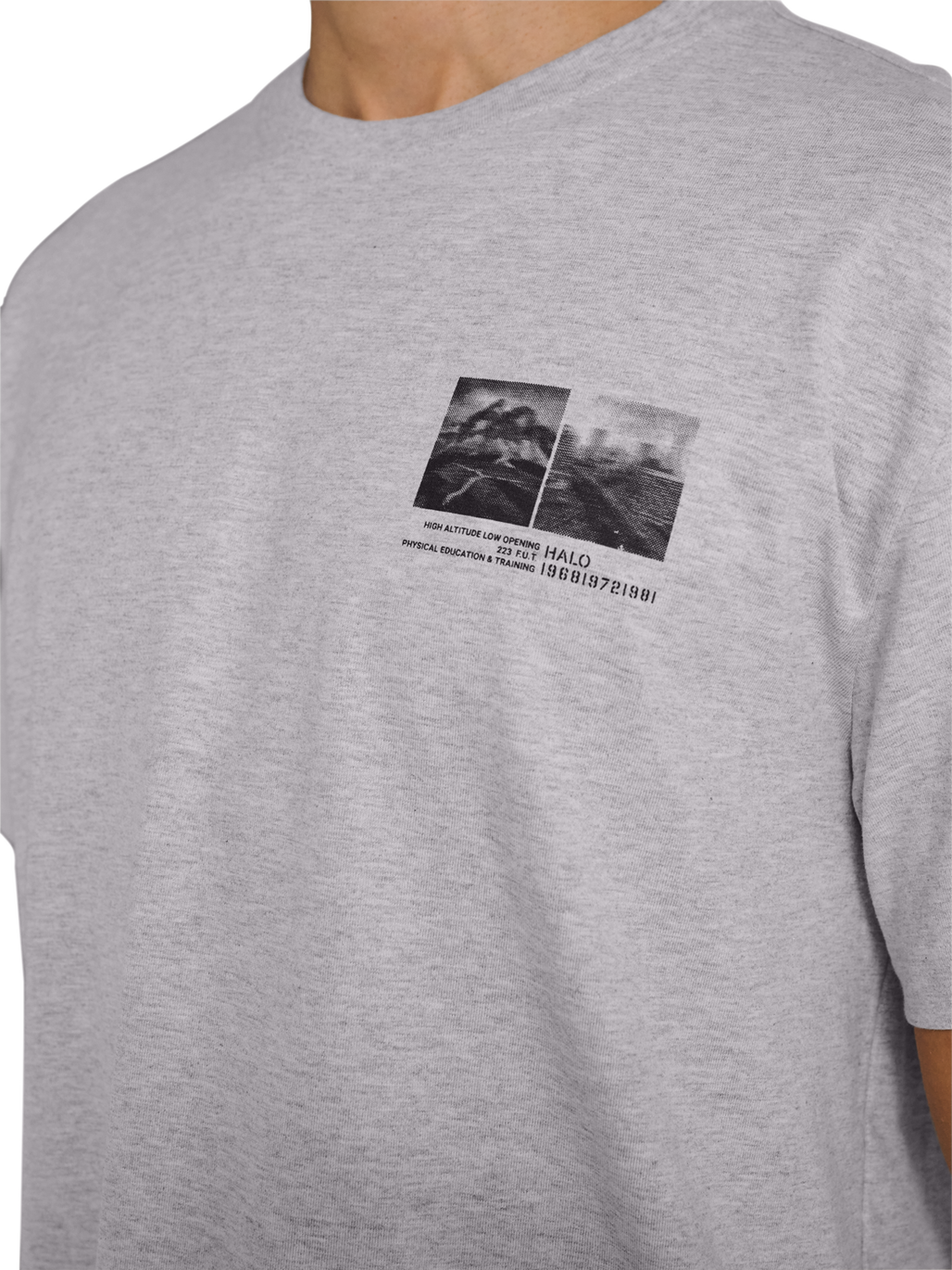 HALO GRAPHIC T-SHIRT, LIGHT GREY MELANGE, model