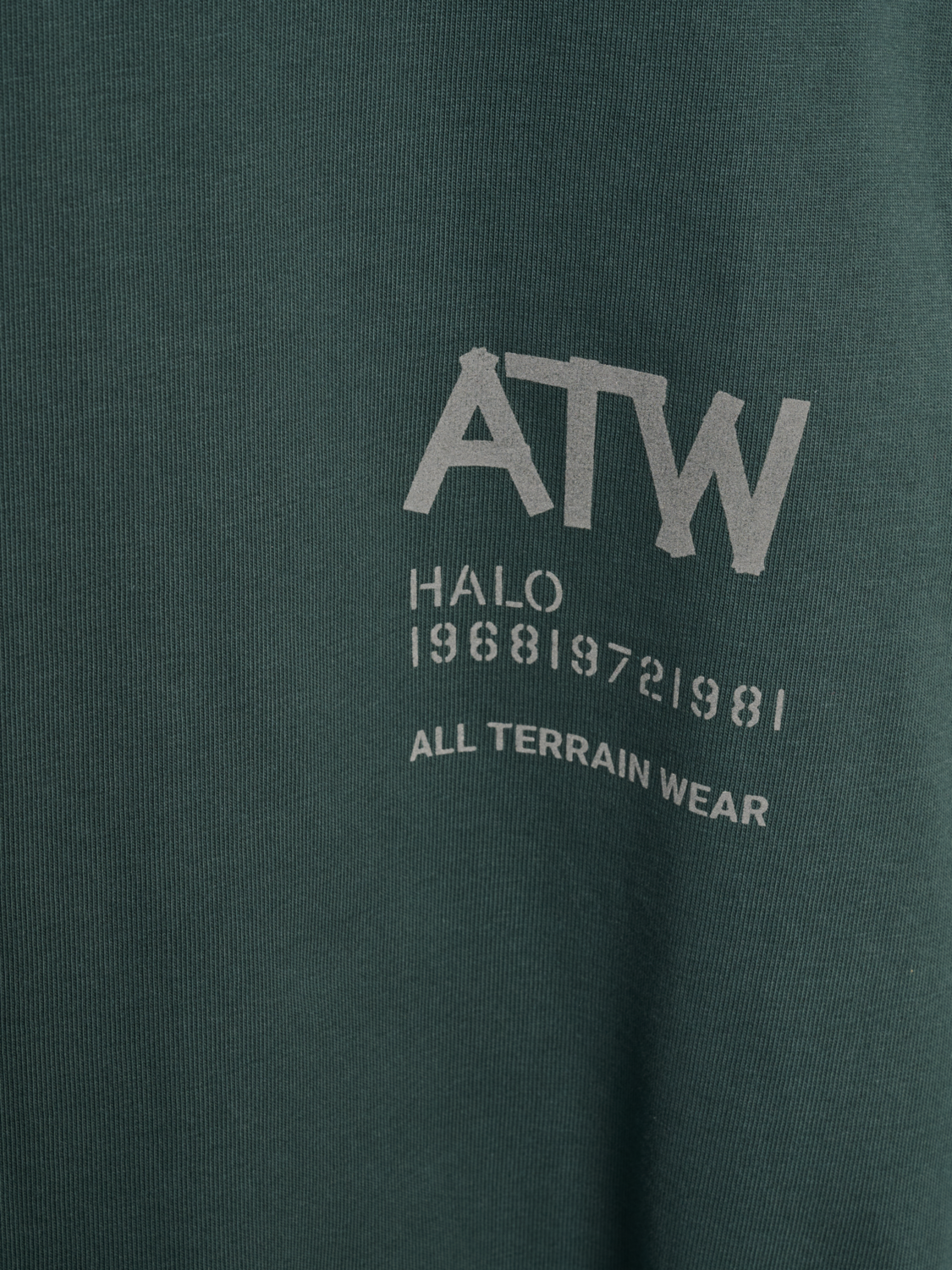 HALO GRAPHIC T-SHIRT, GARDEN TOPIARY/SILVER, packshot