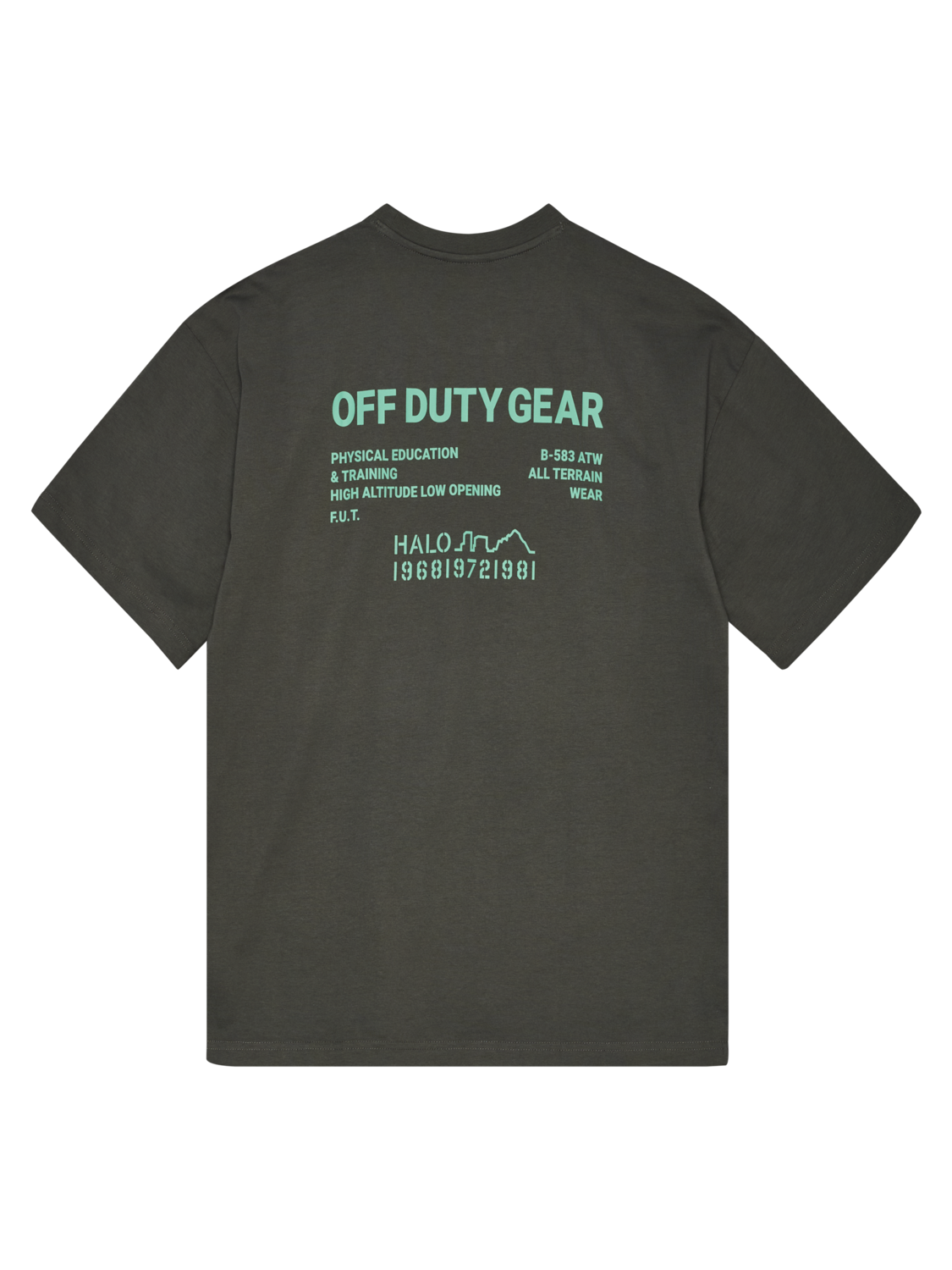 HALO GRAPHIC BOXY T-SHIRT, GUNMETAL/SPRING BOUQUET, packshot