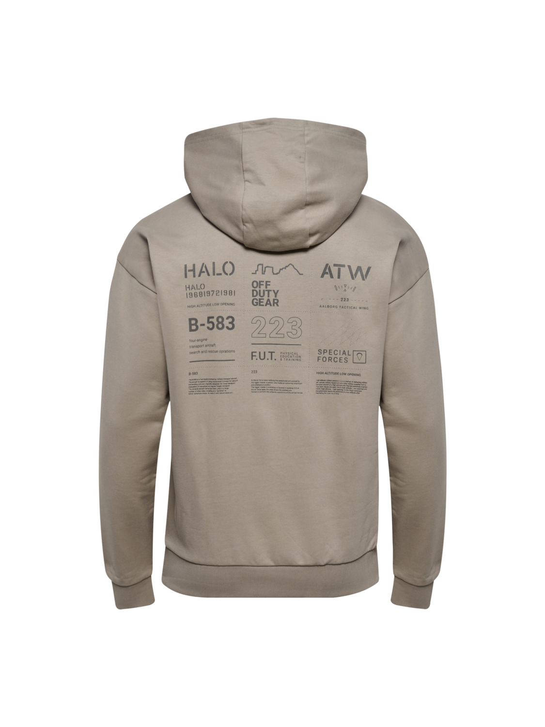HALO GRAPHIC HOODIE, MOURNING DOVE, packshot