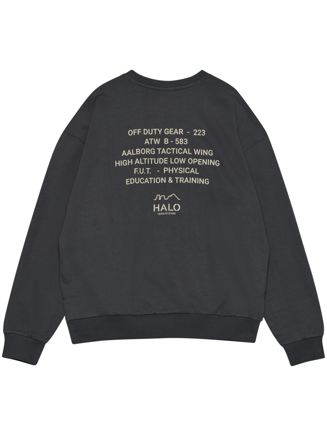 HALO GRAPHIC BOXY CREW, ASPHALT, packshot