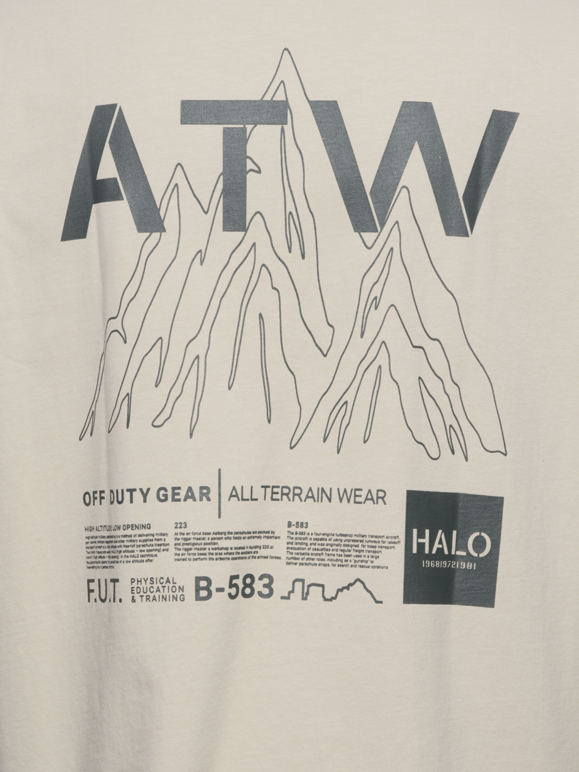 HALO GRAPHIC T-SHIRT 02, SILVER LINING, packshot
