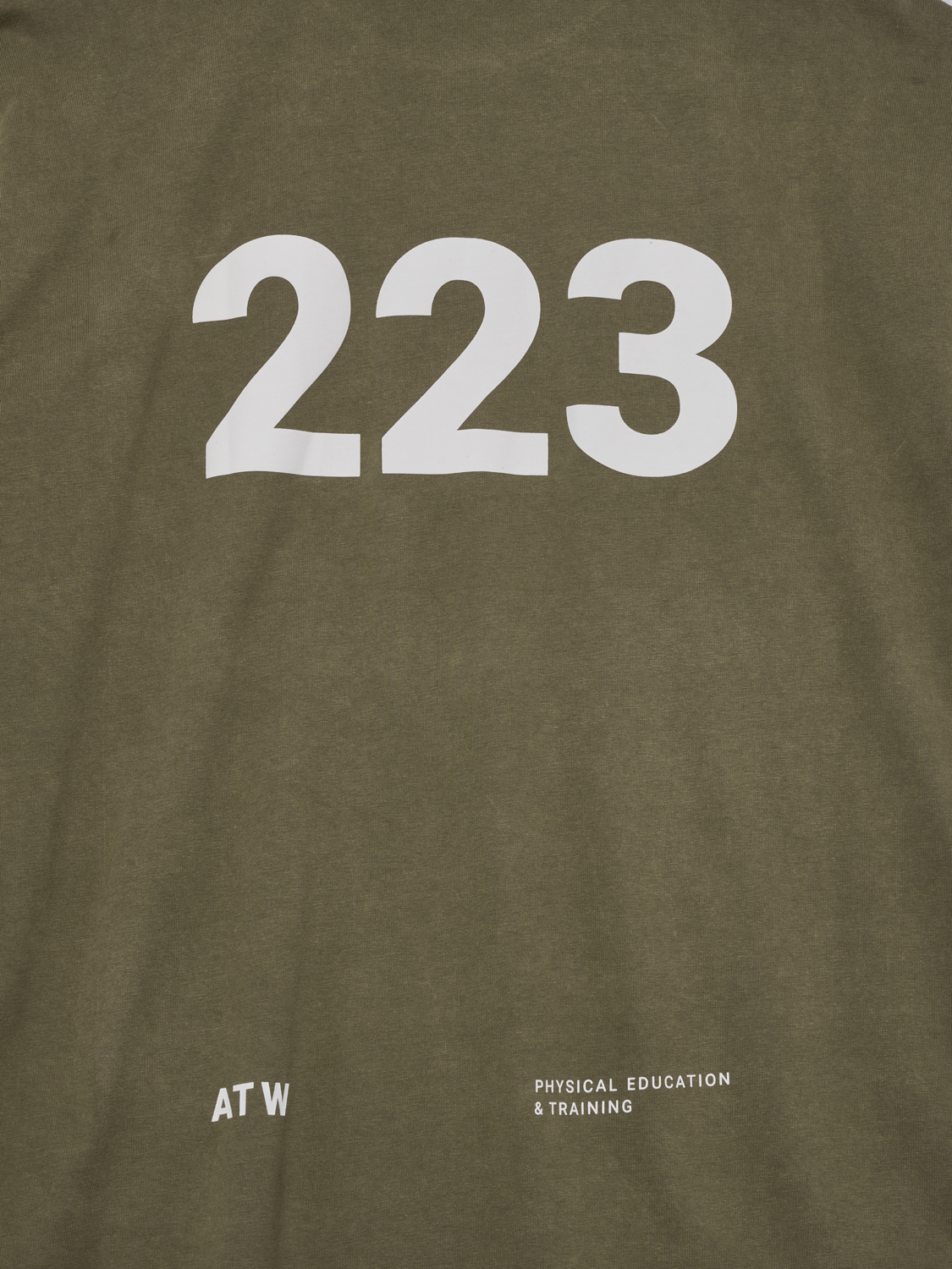 HALO GRAPHIC BOXY T-SHIRT, CAPERS/MARSHMALLOW, packshot