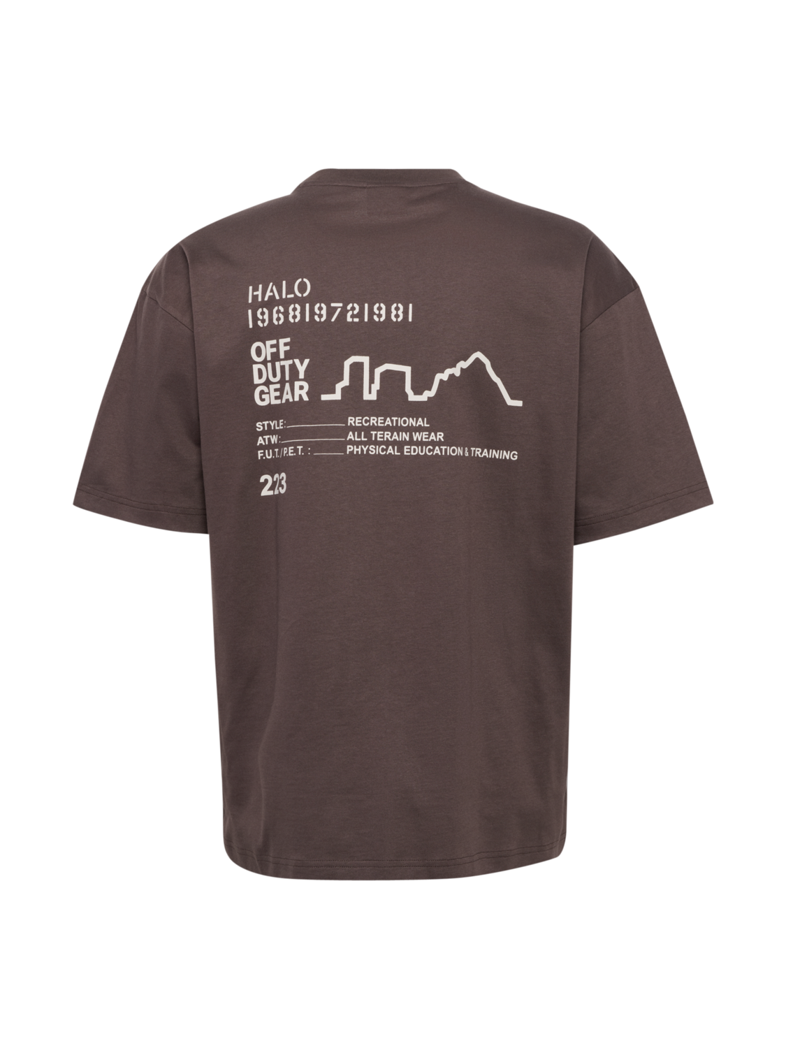 HALO GRAPHIC T-SHIRT BOXY 02, BRACKEN, packshot