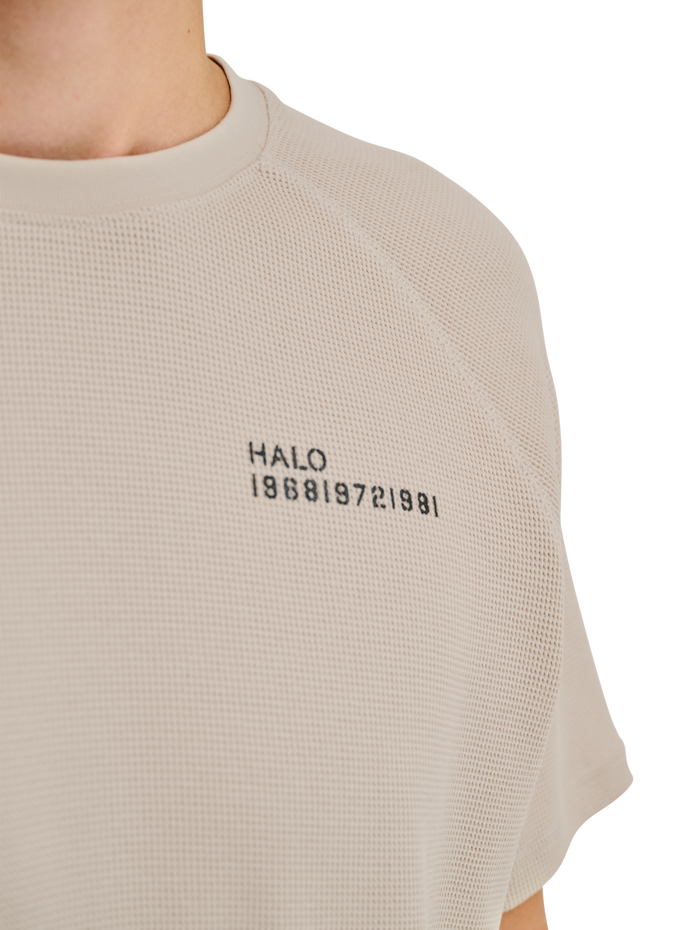 HALO SKYHOOK T-SHIRT, SILVER LINING, model